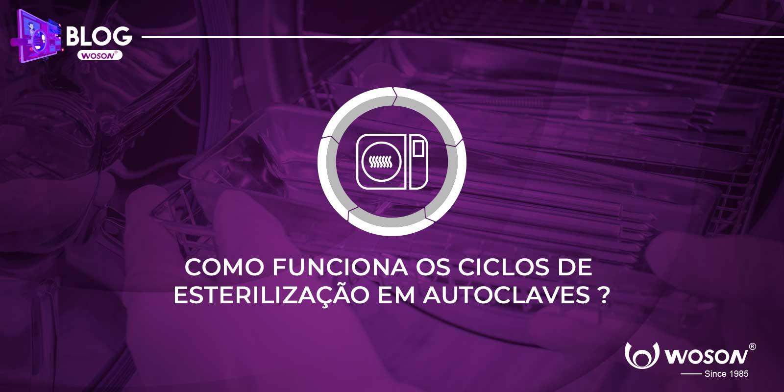 COMO FUNCIONAM OS CICLOS DE ESTERILIZAÇÃO EM AUTOCLAVES? COMO FUNCIONAM OS CICLOS DE ESTERILIZAÇÃO EM AUTOCLAVES?